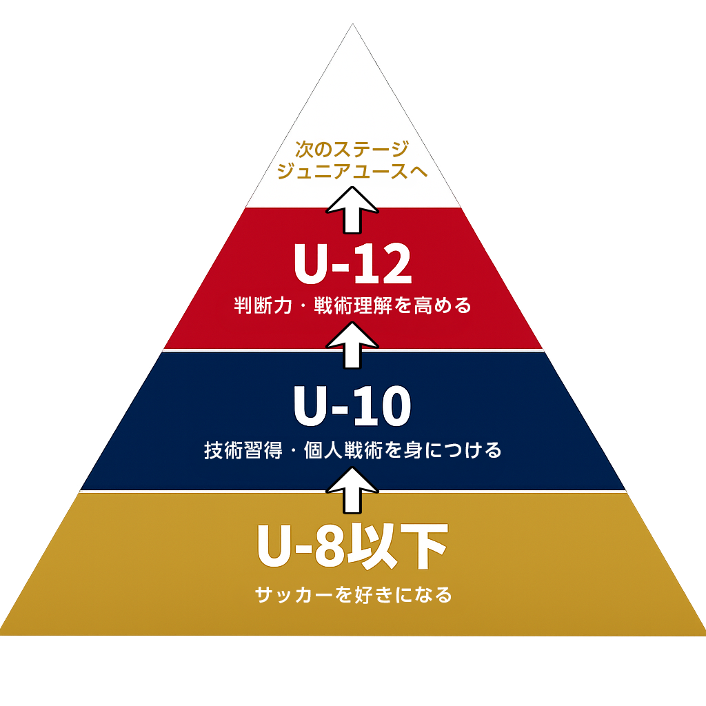育成ピラミッド